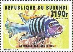 Metriaclima emmiltos на почтовой марке